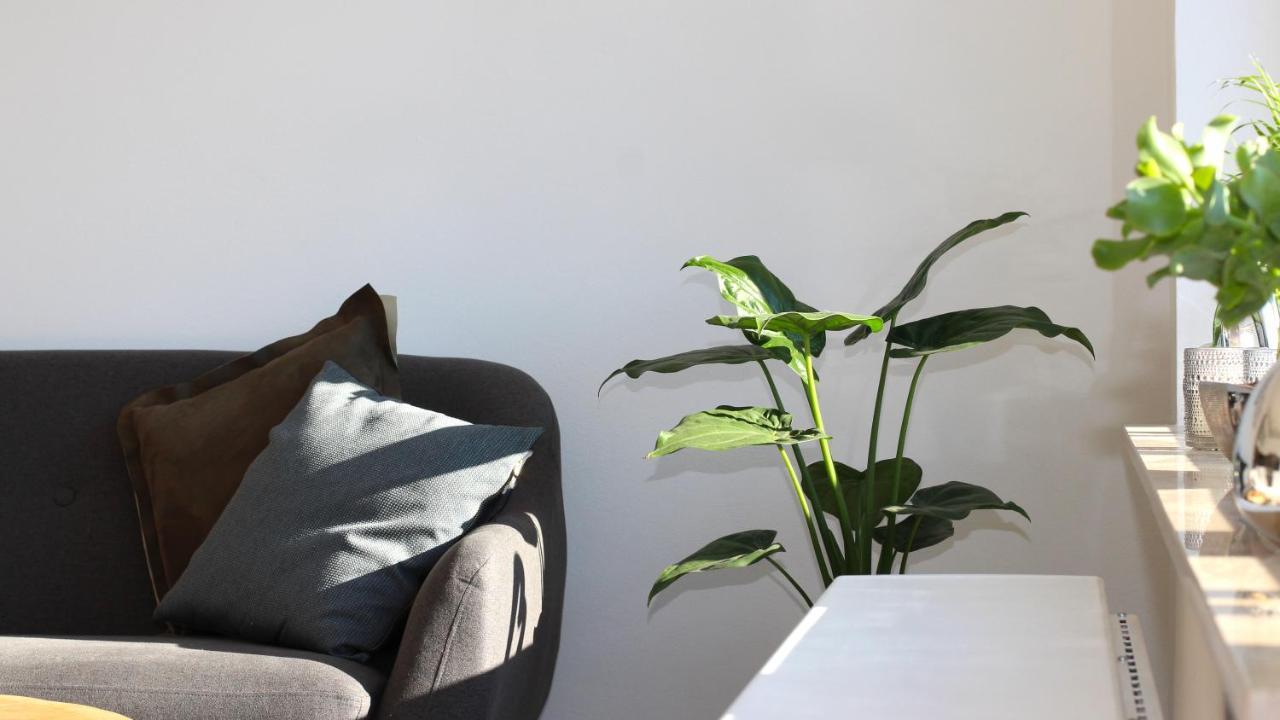 Seeblick25 - Apartments - Balkony - Wifi - Great View - New & Modern Winterberg Eksteriør bilde